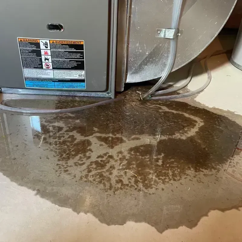 Appliance Leak Cleanup in Huntsville, TX